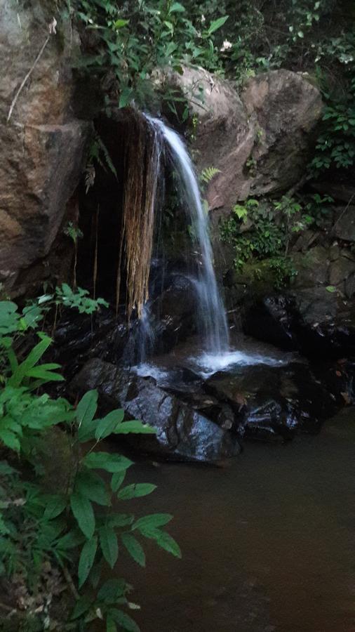 Hotel Pousada Cachoeira Serra Negra  Esterno foto